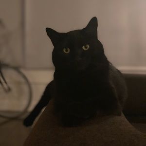 Meet your Posher, Tom